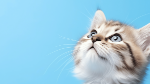 mindfulness gatto immagine